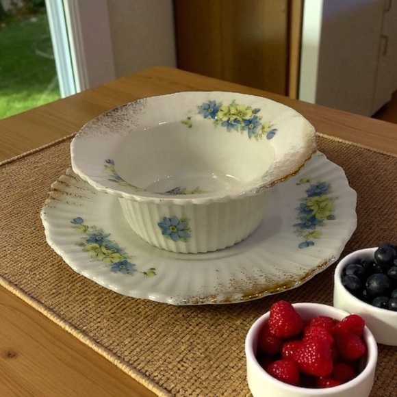 Porcelain Altrohla Austria Custard Bowl And Underdish Antique Floral Pattern VTG - Picture 1 of 8